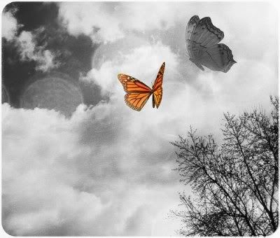 Butterflies Flying Away