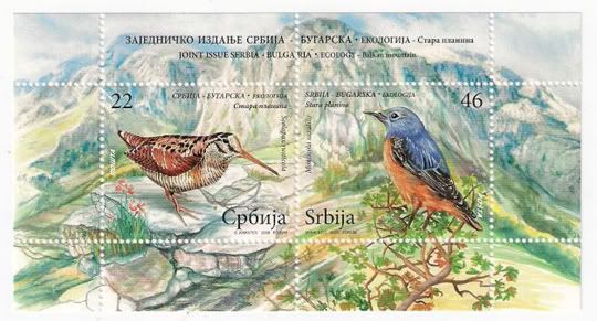 slika-Srbija-2009-Ptice-crop.jpg