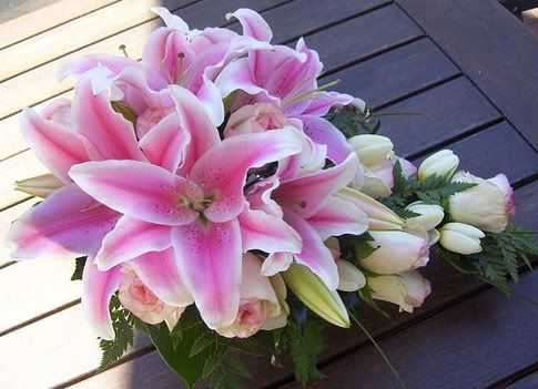 Dolca Vita Roses Cascade