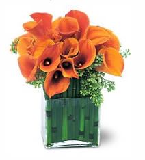 Orange Lily Valentine Flowers