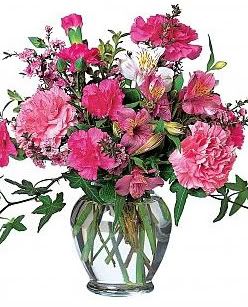 Pink Carnations Bouquet Mothers Day