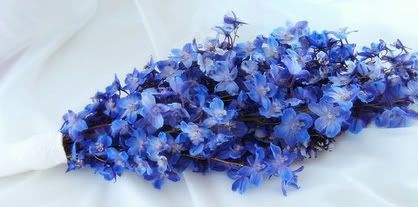 Arm Delphinium Blue Bouquet