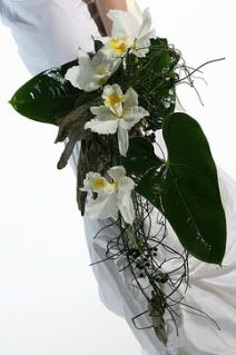 Catalayia Orchids Teardrop