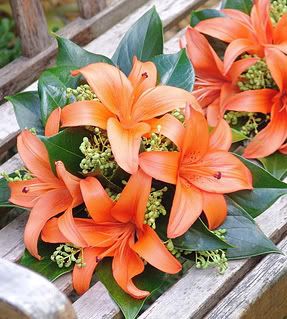Orange Asiatic Lilies Posy Bouquet