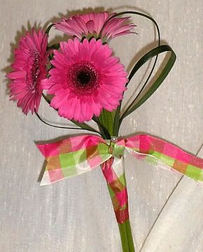 Pink Daisies Hand Tied