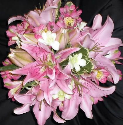 Pink Oriental Lily Hand Tied