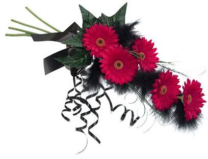 Red Gerber Daisy Arm Bouquet very fantastic with black fur