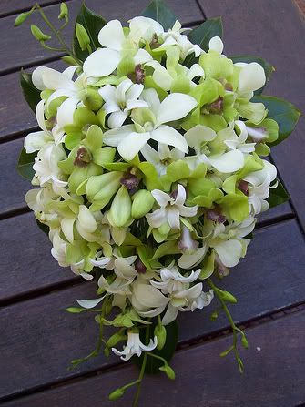 White and Green Singapore Orchids Cascade