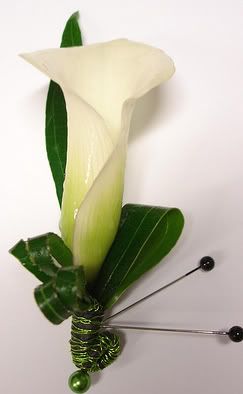 white lily grooms