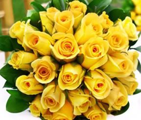 Yellow Roses Hand Tied