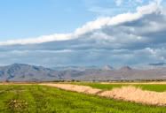 Campos de Arroz.