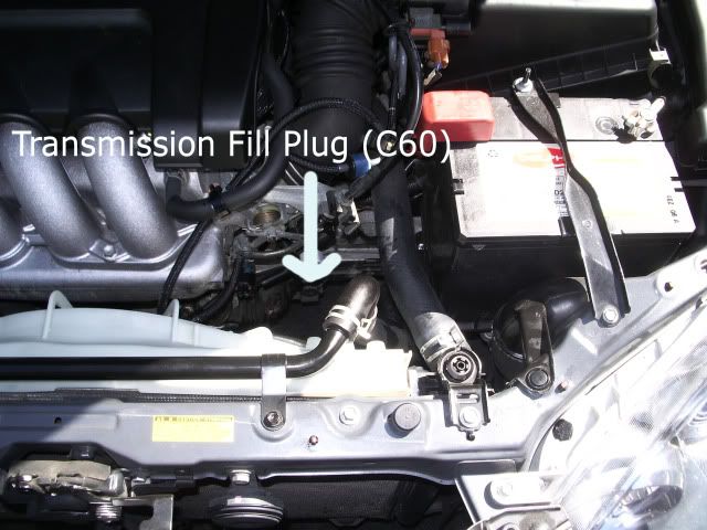 Toyota celica manual transmission fluid