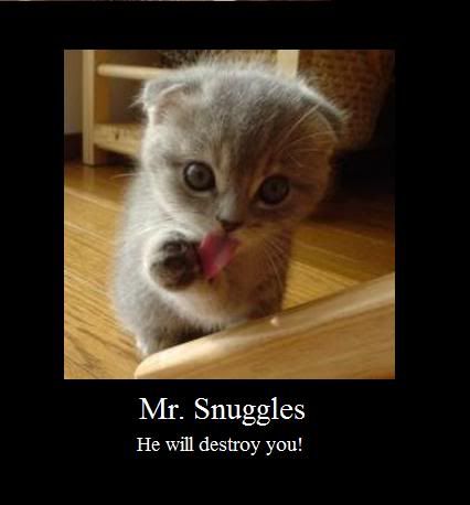 Mr Snuggles