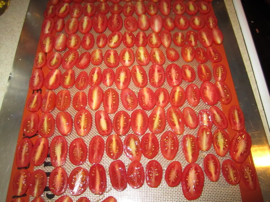 Tomatoes ready for roasting Tomatoes ready for roasting
