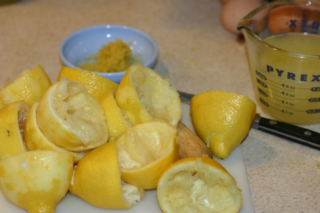 Spent lemons Spent lemons
