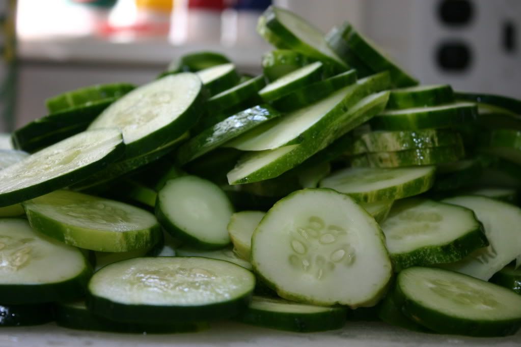 Pile o' cucumbers Pile o' cucumbers