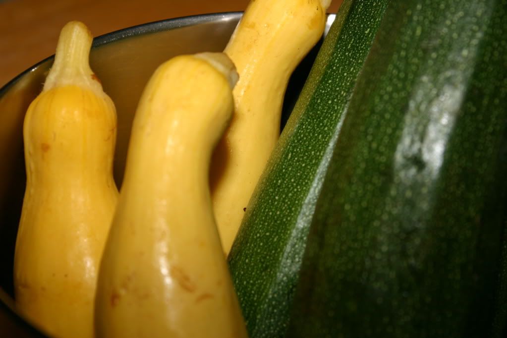 Lots of Zucchini
