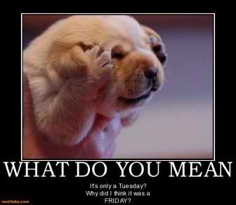 what-you-mean-friday-tuesday-funny-puppy-what-demotivational-posters-1343752986.jpg