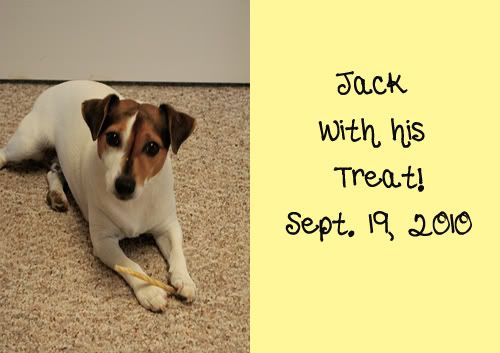 Jack with treat