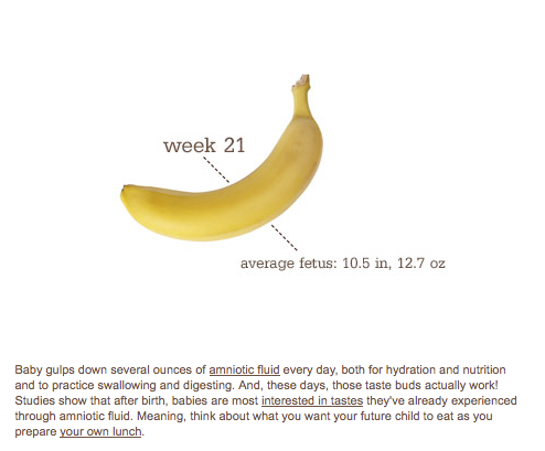 Size of Babes @ 21 Weeks