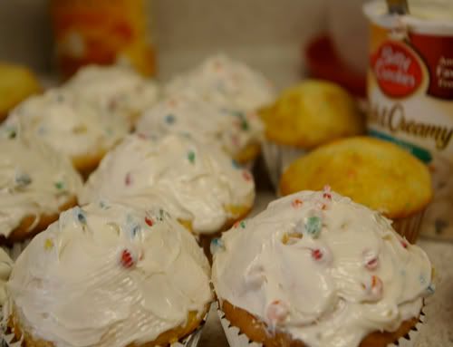 Frosted Cupcakes