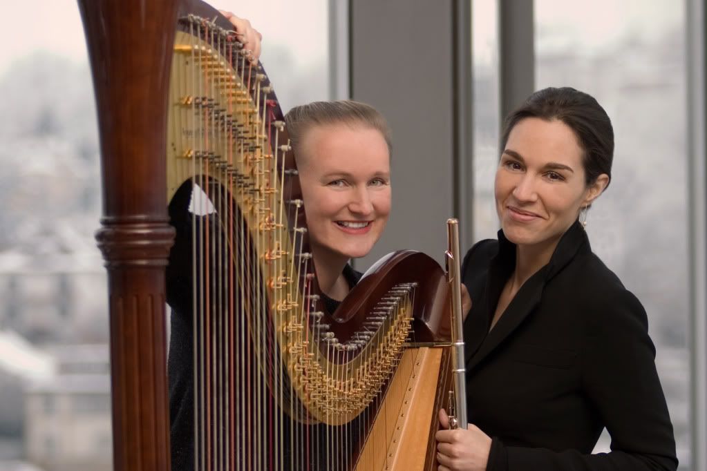 Harpa Instrument