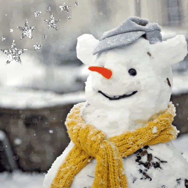 snesko.gif