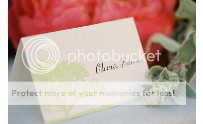laura hooper calligraphy,place cards; escort cards