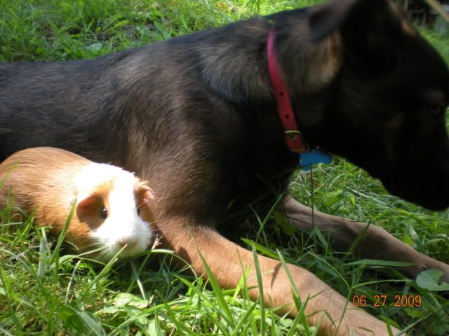 035-1.jpg