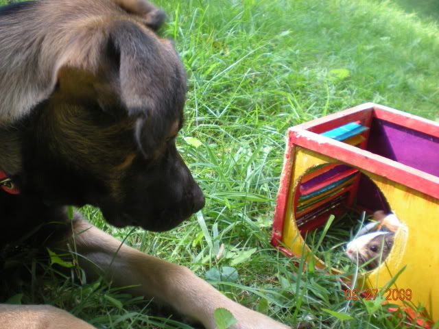 036.jpg