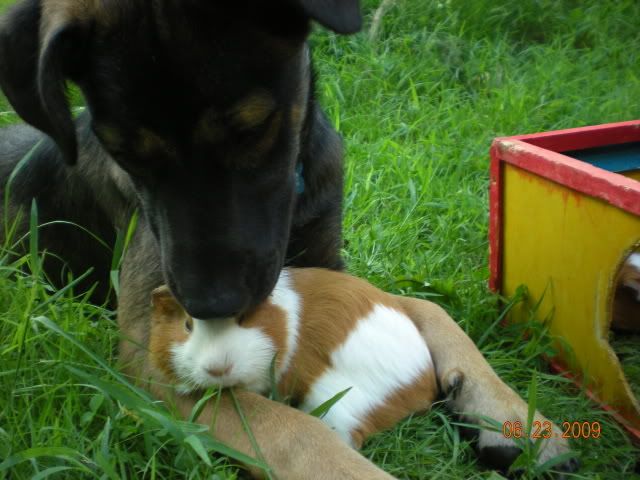 060.jpg